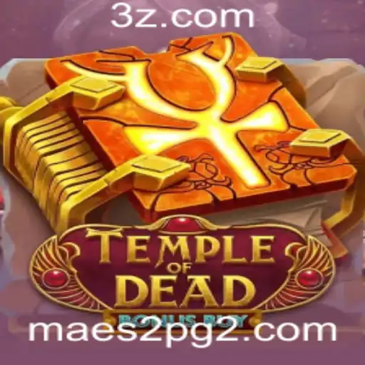 maes2 pg Casino App